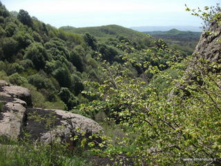 qua Rocca15-05-2022 09-59-31